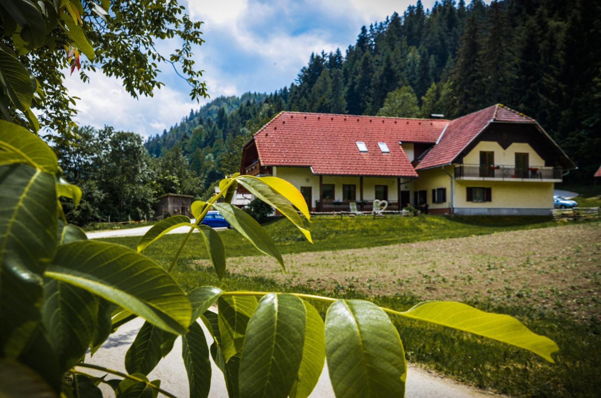 Farm Stay Loger Ljubno المظهر الخارجي الصورة
